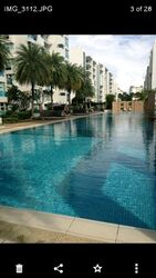 Dahlia Park Condominium (D17), Condominium #606217051